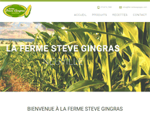 Tablet Screenshot of fermestevegingras.com